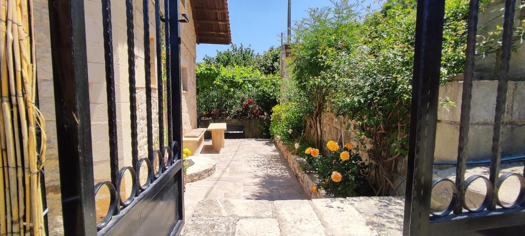 A garden outside Vasiliki's Residence - Breathtaking View
