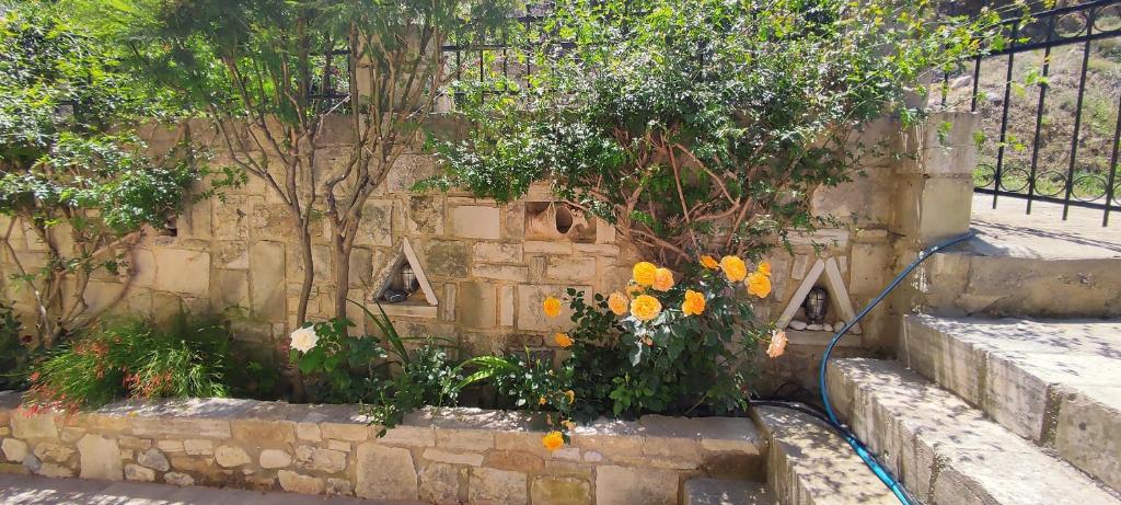 A garden outside Vasiliki's Residence - Breathtaking View