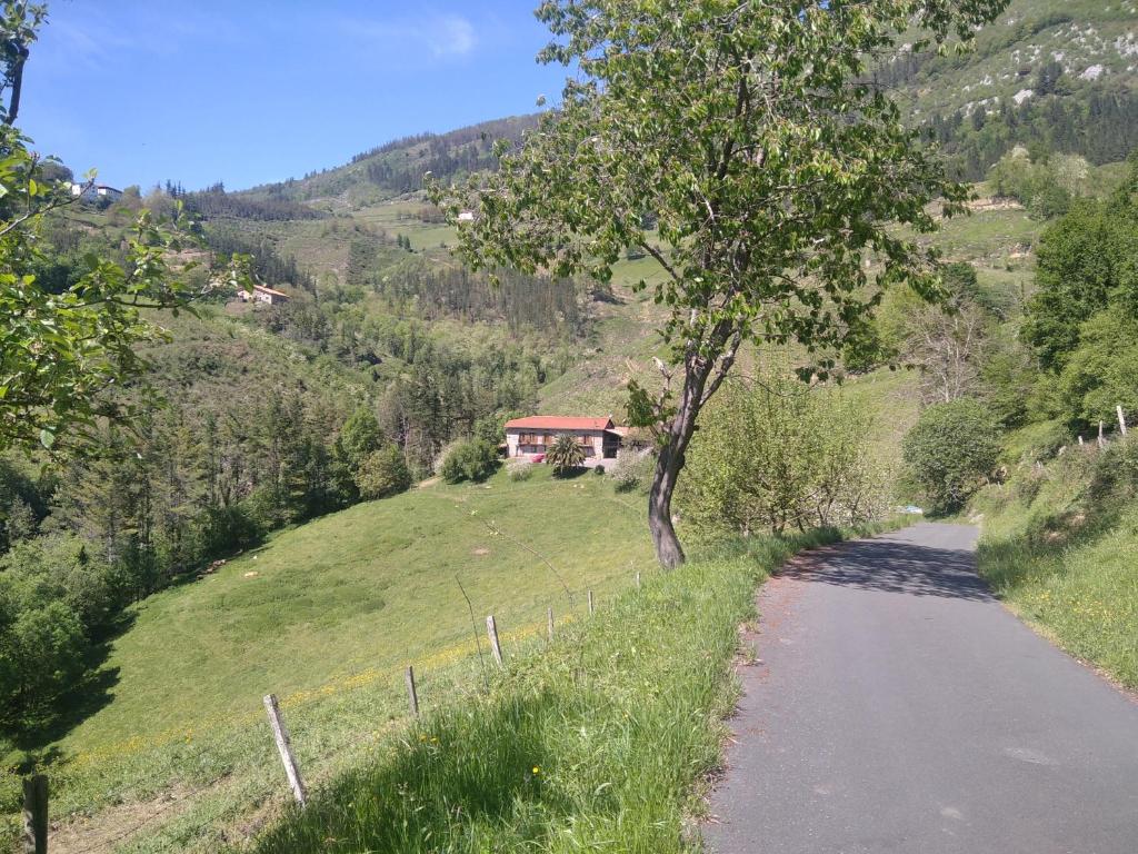 a road with a tree and a house on a hill at Casa rural Zulueta in Azcoitia