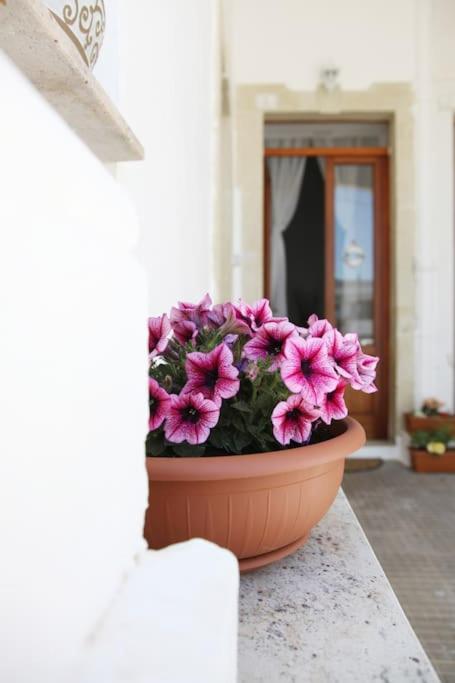 Fotografie z fotogalerie ubytování Carulli, Salento e Relax. v destinaci Marittima