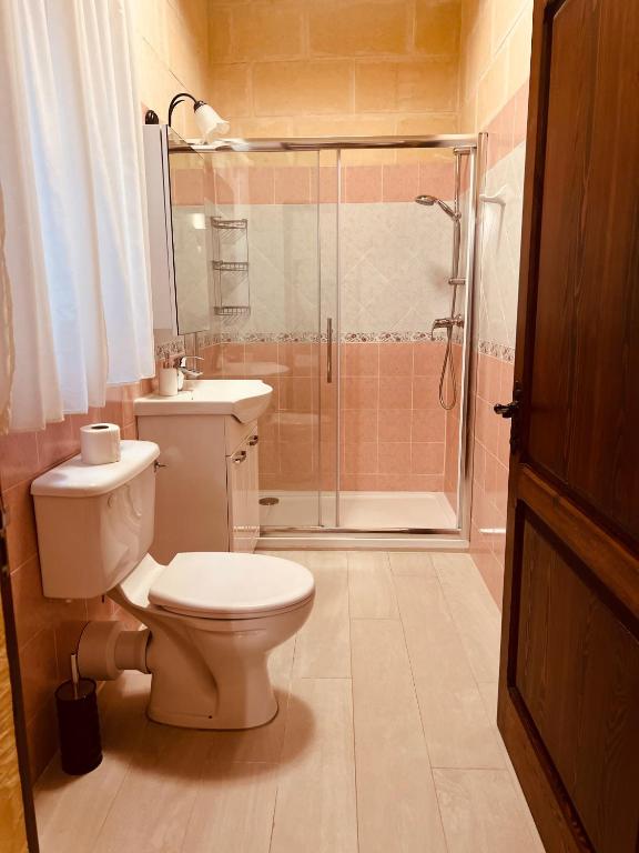 a bathroom with a toilet and a shower at Narcisa Farmhouse B&B in Nadur