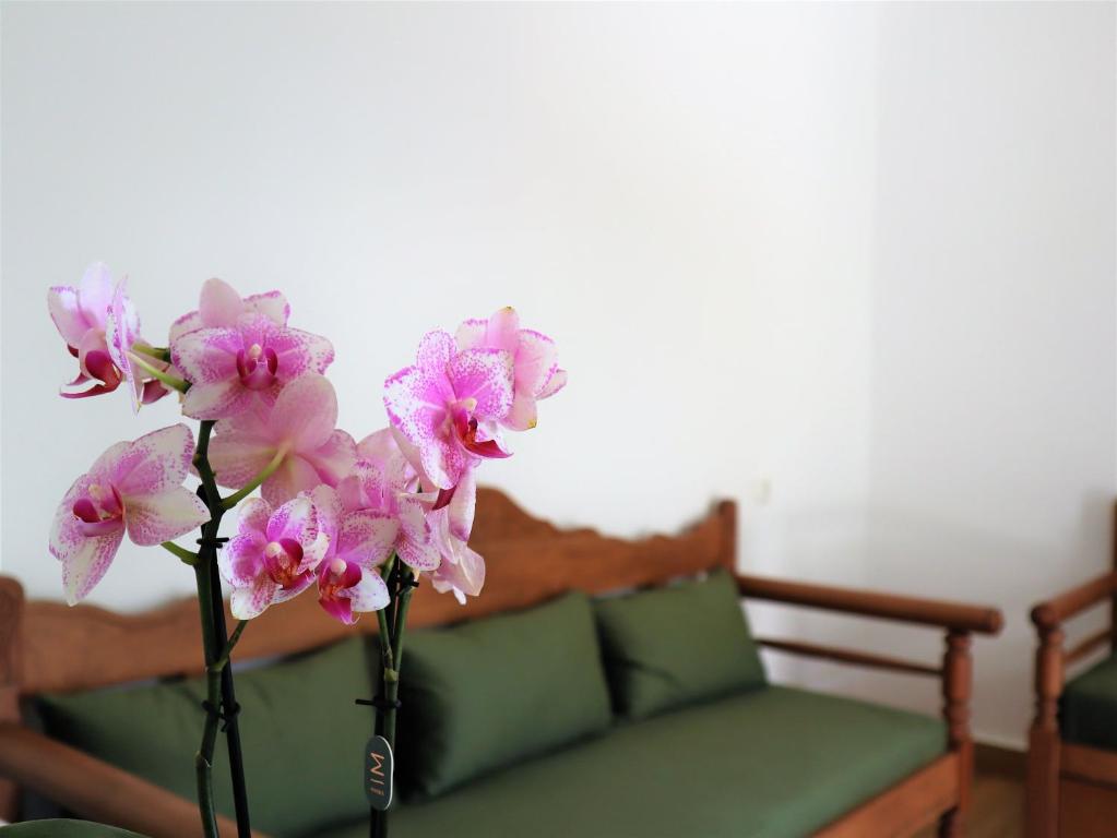 un jarrón con flores rosas delante de un sofá en ΤΟ ΚΑΜΙΝΙ ΤΟΥ ΜΗΛΑ en Kithnos
