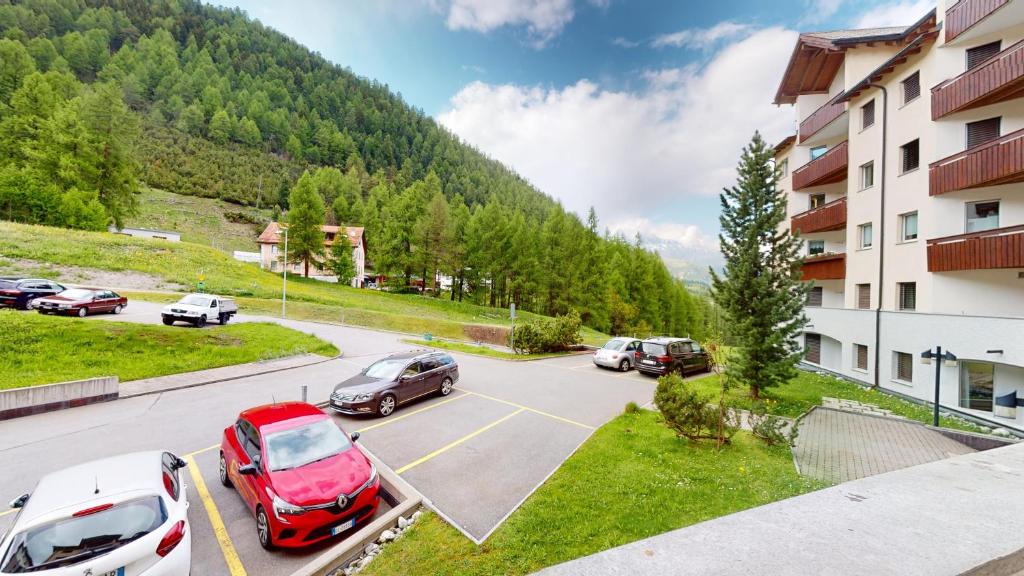 Příroda nedaleko apartmánu