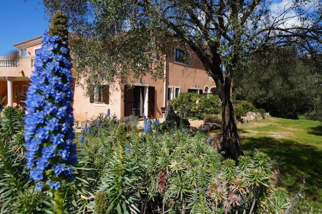 a garden with blue flowers in front of a house at Chambre d'Hôtes Domaine Pero Longo in Sartène