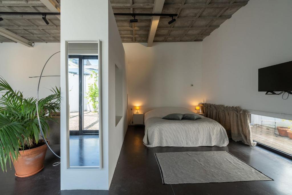a bedroom with a bed and a tv and a mirror at Loft van 90 m² met grote binnentuin. in Antwerp