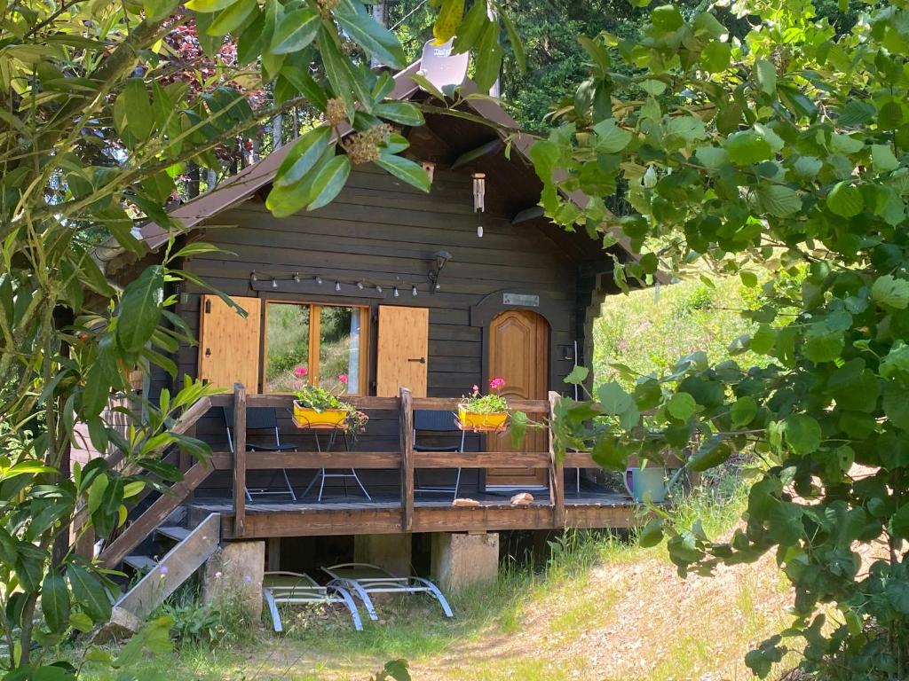 a small cabin with two plants on a deck at Le Paradis de Verdure in Natzwiller