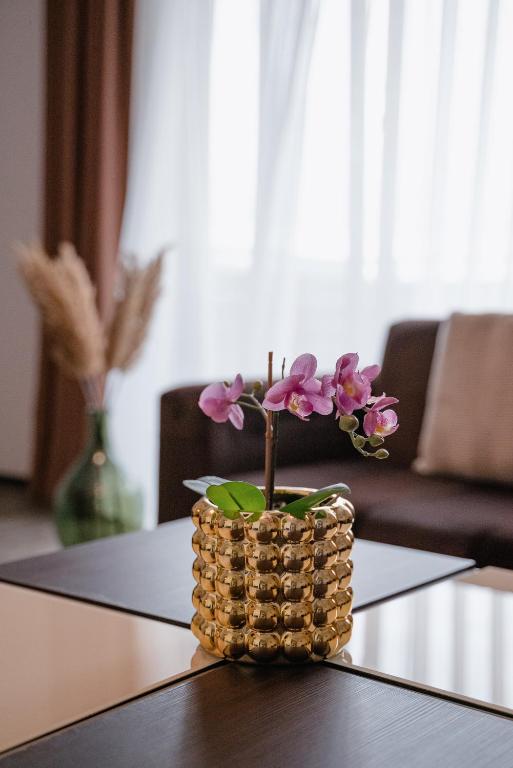 Silver Mountain Resort & Spa - Resim 31