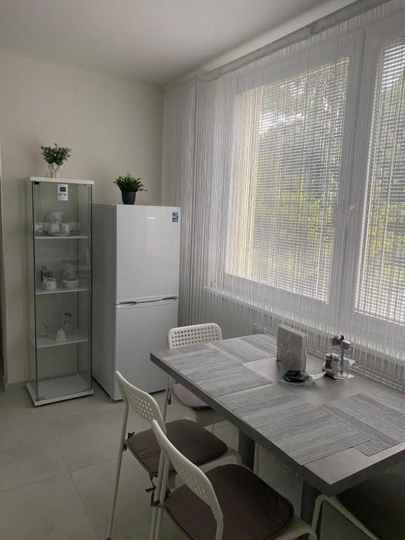 Kuchyň nebo kuchyňský kout v ubytování Apartmán Nitra