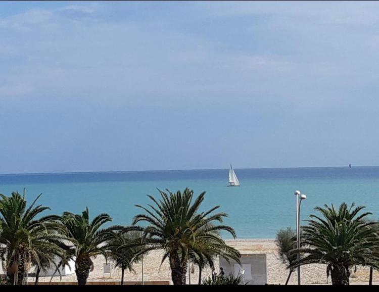 una spiaggia con palme e una barca a vela in acqua di LE DIMORE DI VIA VENEZIA a Civitanova Marche