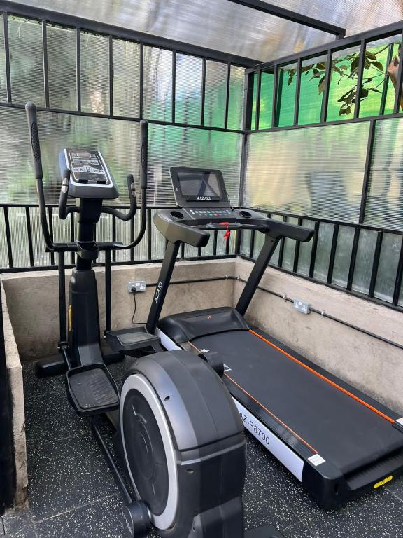 Fitness centrum a/nebo fitness zařízení v ubytování Cozy Stead