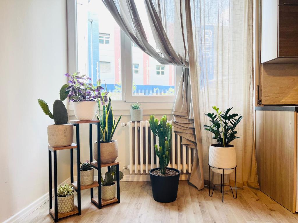 Fotografie z fotogalerie ubytování Sonila's Home 1 v Bergamu