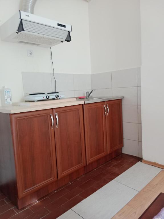 Kuchyň nebo kuchyňský kout v ubytování Studio apartmani Dream Iv