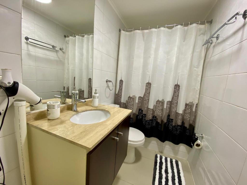 a bathroom with a sink and a toilet and a shower at Hermoso depto Pucon x Camino al Volcan in Pucón