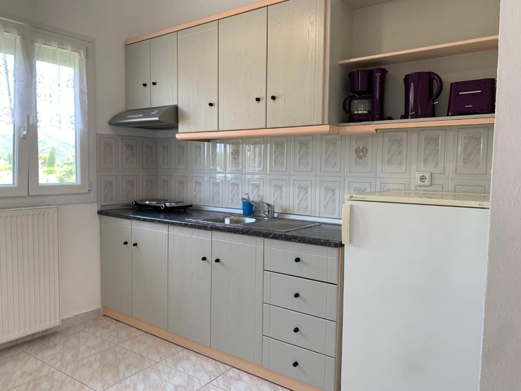 Kuchyň nebo kuchyňský kout v ubytování Nikolaidis House