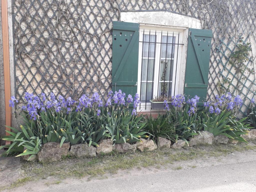 Budova, v ktorej sa ubytovanie bed & breakfast nachádza