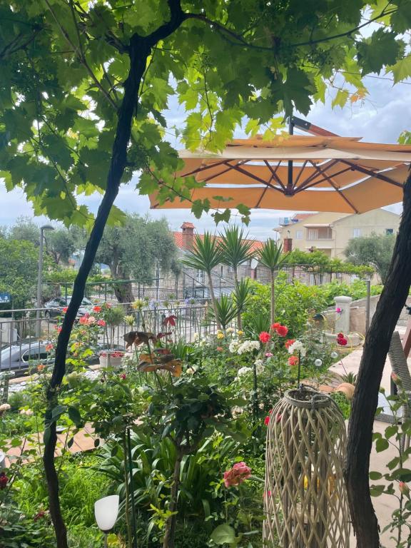 Zahrada ubytování Apartments Kentera LUX