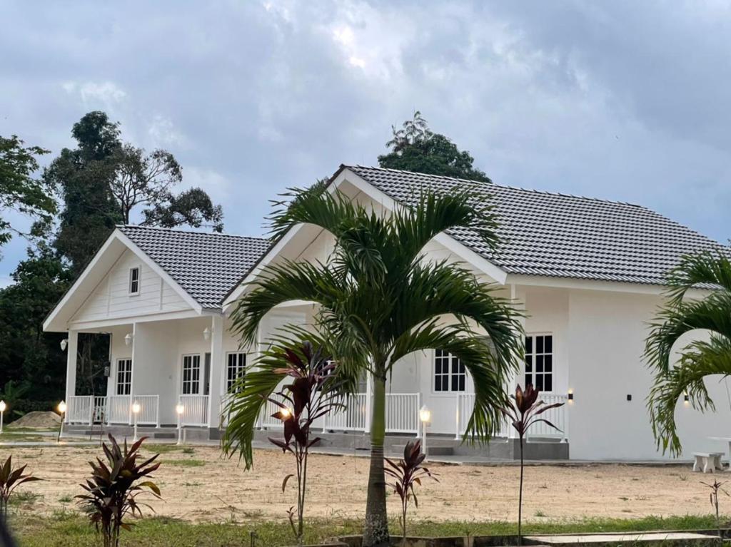 a white house with palm trees in front of it at D'Laman Cottage Kota Bharu kelantan in Kota Bharu