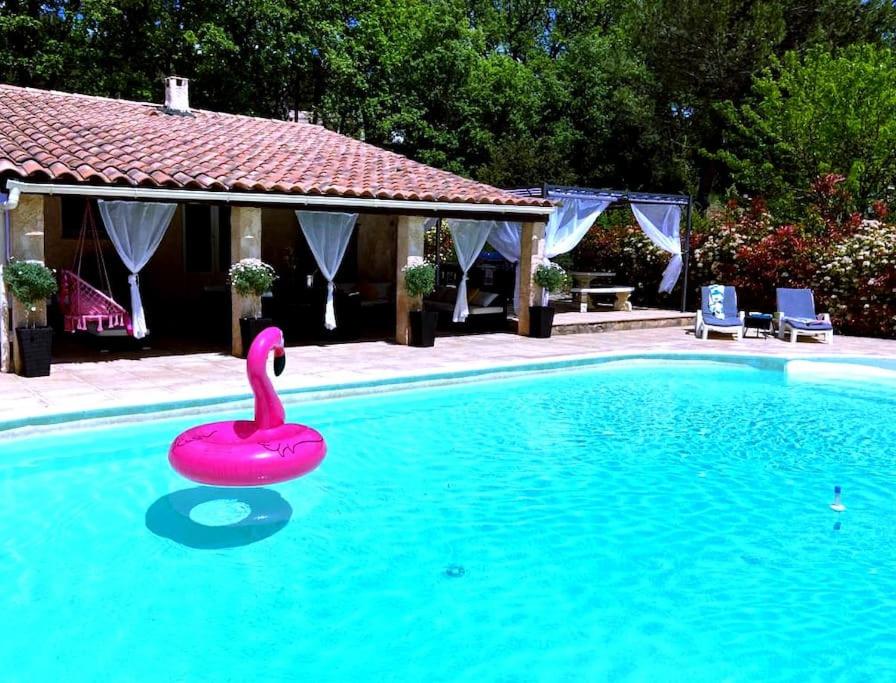 a pink swan in the middle of a swimming pool at Gorges du Verdon : Guest house avec piscine in Baudinard