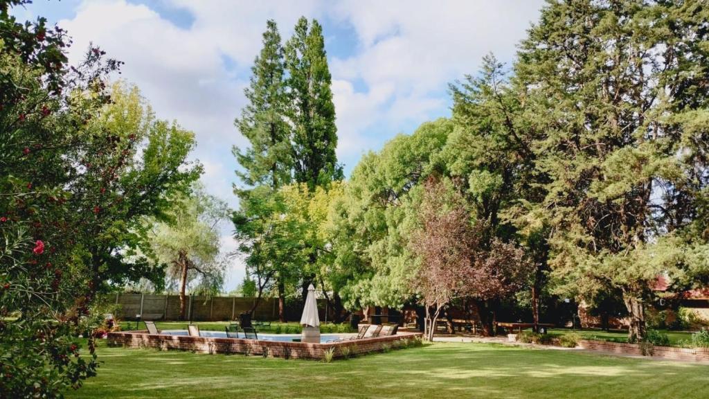 a park with trees and a lawn with a fountain at Lujan De Cuyo B&B in Ciudad Lujan de Cuyo