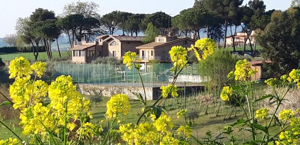 una casa en un campo con flores amarillas en LA CASA NELLA PRATERIA, en Misano Adriatico