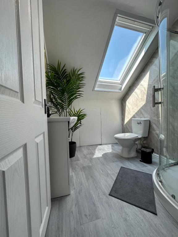 a bathroom with a toilet and a skylight at DVM escape Flat 3 in Bristol
