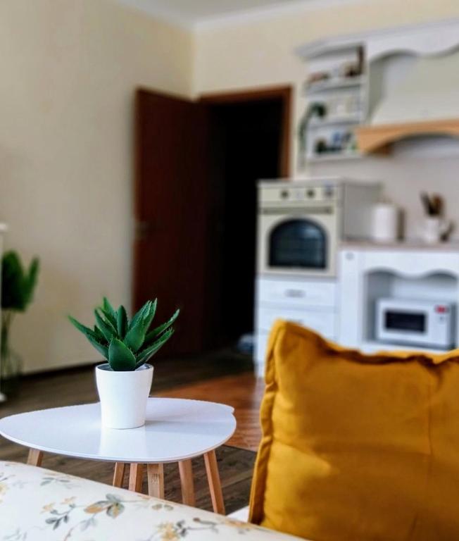 Kuchyň nebo kuchyňský kout v ubytování Ika apartment
