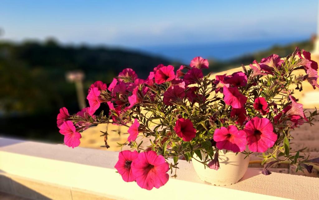 un jarrón lleno de flores rosas sentado en una cornisa en Andreas' Guest House, en Káto Spílaion