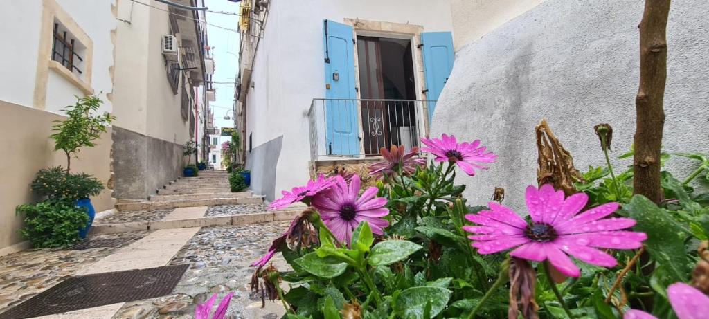 una calle con flores rosas frente a un edificio en Residenza Giannini a Rodi Garganico, en Rodi Garganico