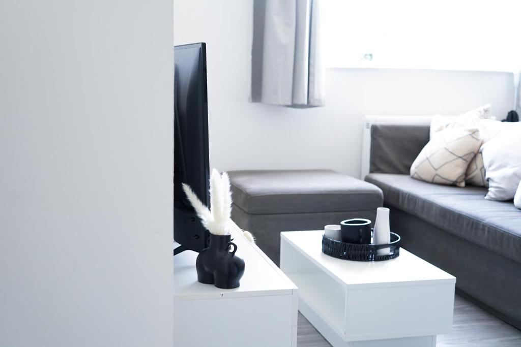 a living room with a tv and a couch at Brighton City Centre Apartment with Two Parking Spaces in Brighton & Hove