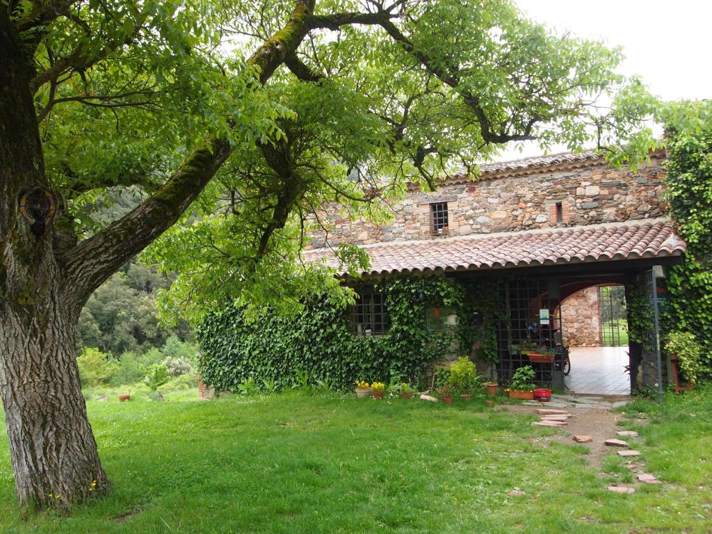 una casa de piedra con un árbol delante en Bed and Breakfast Casanova de Sant Miquel, en Aiguafreda