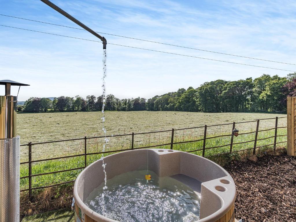 una bañera llena de agua junto a un campo en The Tranquil Orchard - Nuthatch-uk32791 en Mouswald