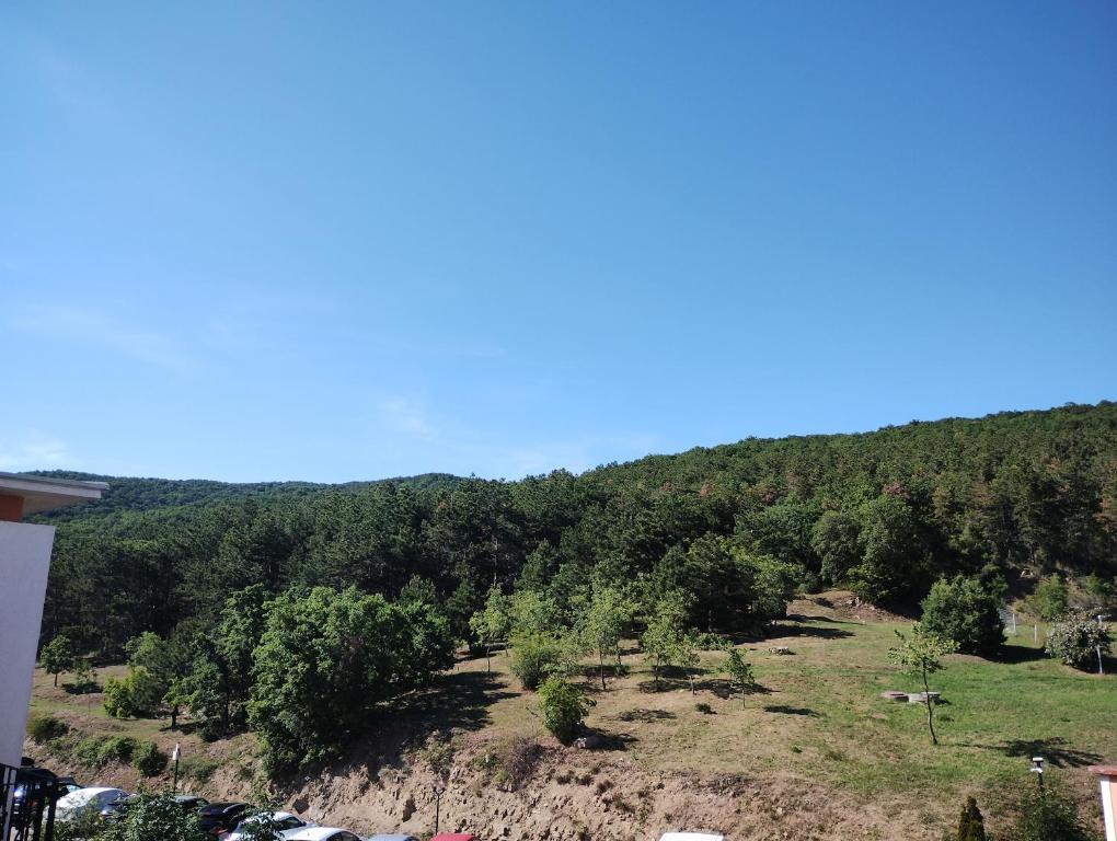 Příroda nedaleko apartmánu