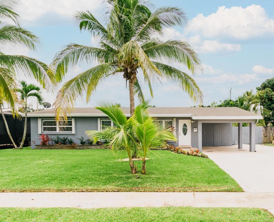 una palmera frente a una casa en Tiki-home Elite Staycation, en Fort Lauderdale