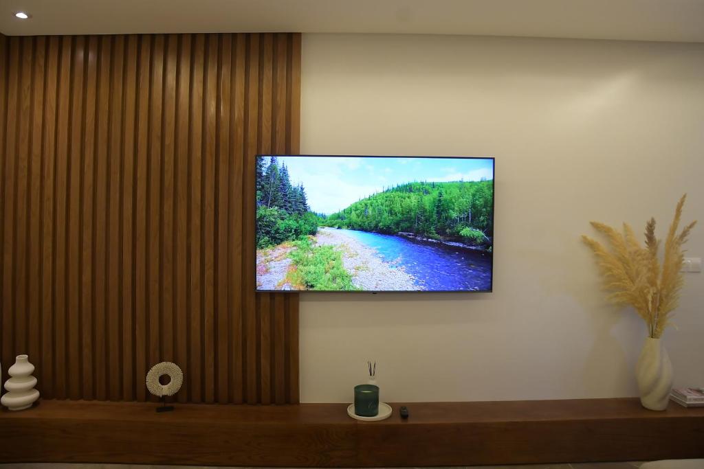 TV a/nebo společenská místnost v ubytování AKS Home appart 2 - CABONEGRO