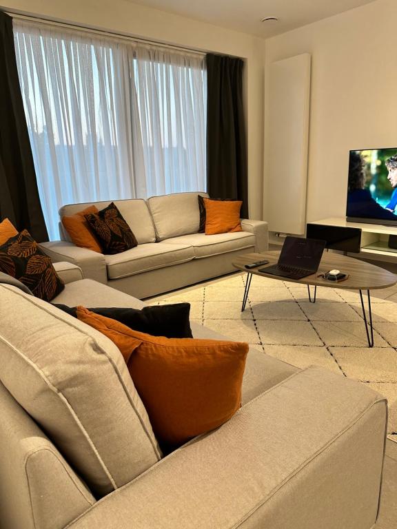 een woonkamer met 2 banken en een tv bij Canal View One Bedroom Flat in Brussel