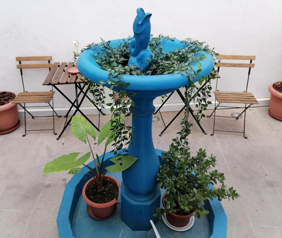 Um jardim em Old Évora Hostel