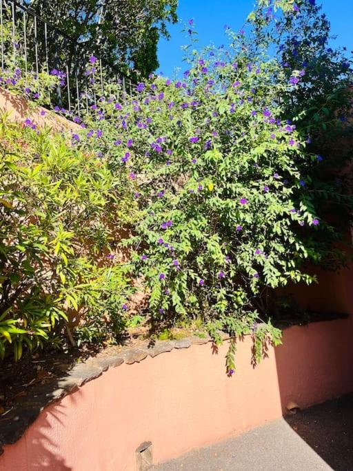 a bush with purple flowers on top of a wall at Vue panoramique mer et collines in Grimaud