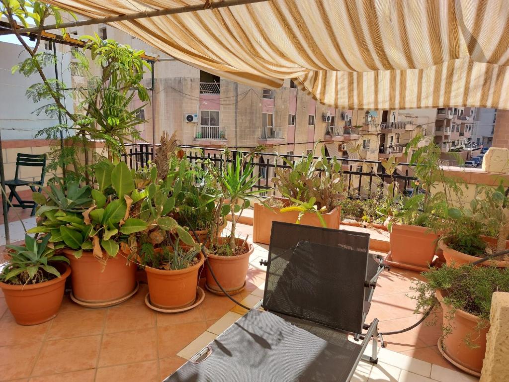 Balkón nebo terasa v ubytování The roof garden maisonette