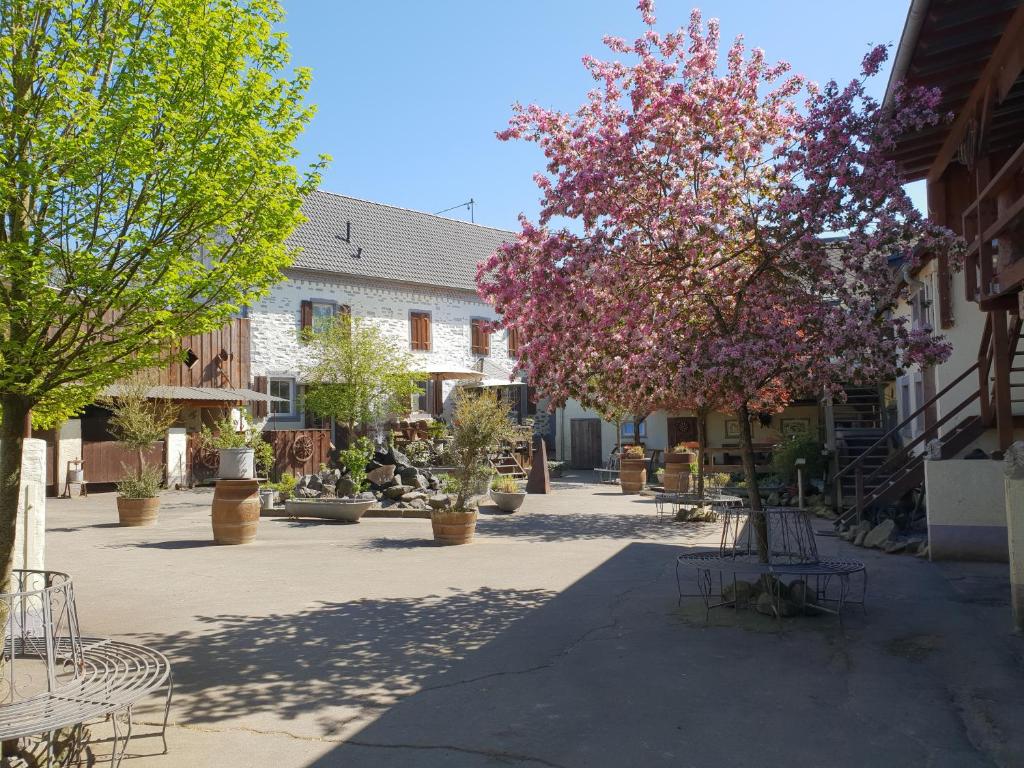 un patio con árboles con flores rosas y bancos en Besondere Ferienwohnung Spirit auf idyllischem Reiterhof nahe Burg Eltz en Münstermaifeld
