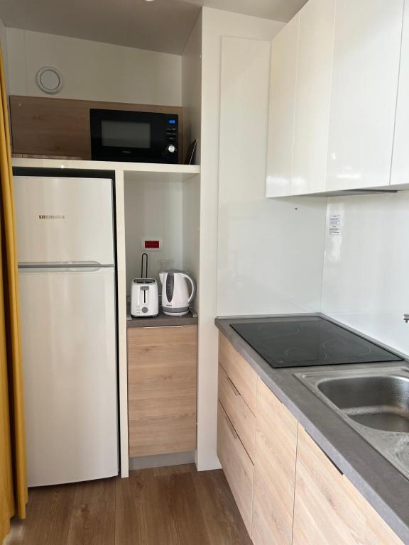 Kuchyň nebo kuchyňský kout v ubytování LunaBay SpiritoS Mobile Home, Terra Park SpiritoS
