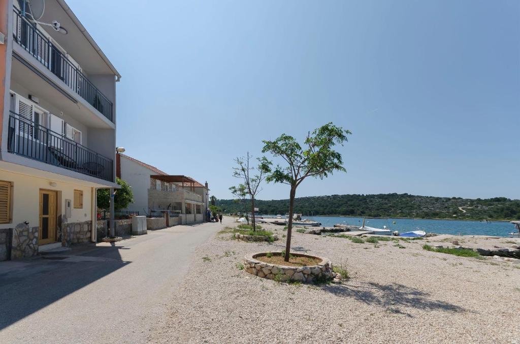 a tree on the beach next to a building at Apartment Little Paradise in Kaprije