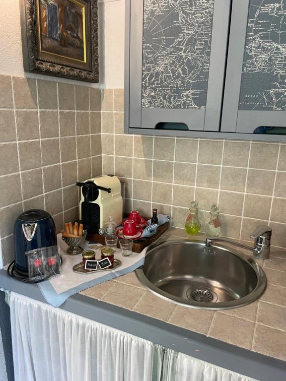 W kuchni znajduje się umywalka i toster. w obiekcie hameau de prebarjaud w mieście Fayence