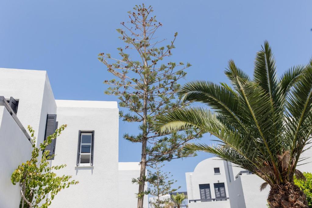 a palm tree in front of a white building at Scorpios Beach in Monolithos