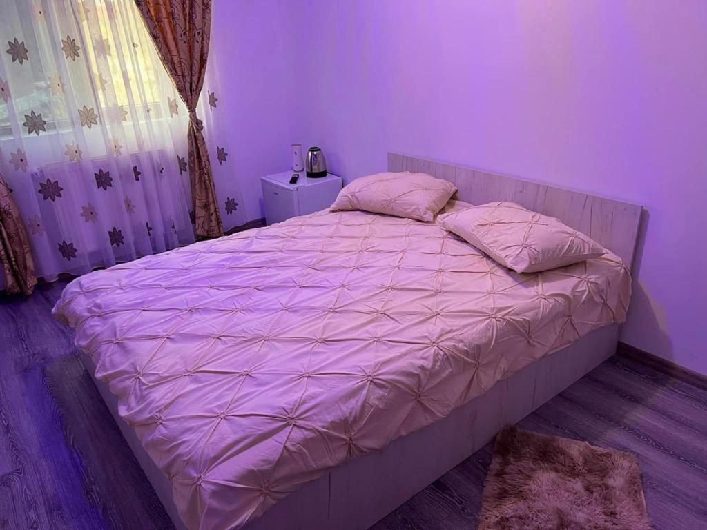 Dormitorio púrpura con cama con sábanas rosas en Pensiunea B C M, en Malu Mare