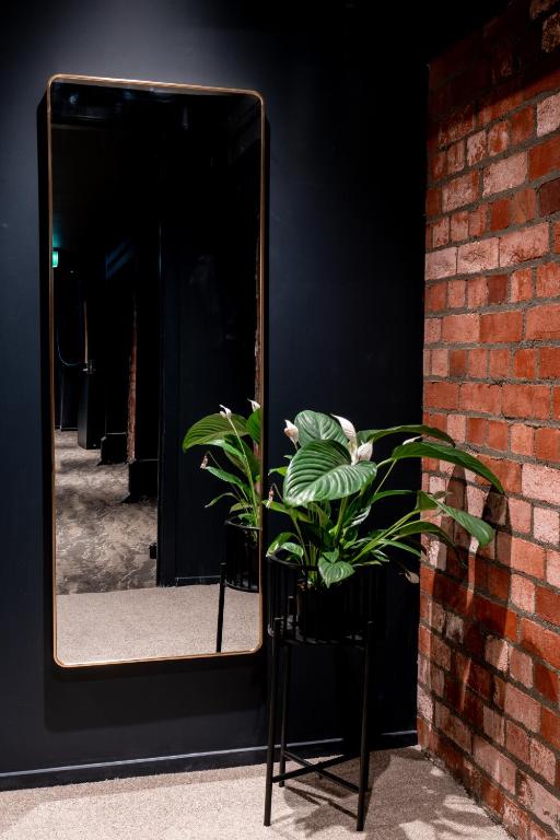 The Cobbler Hotel - Resim 13