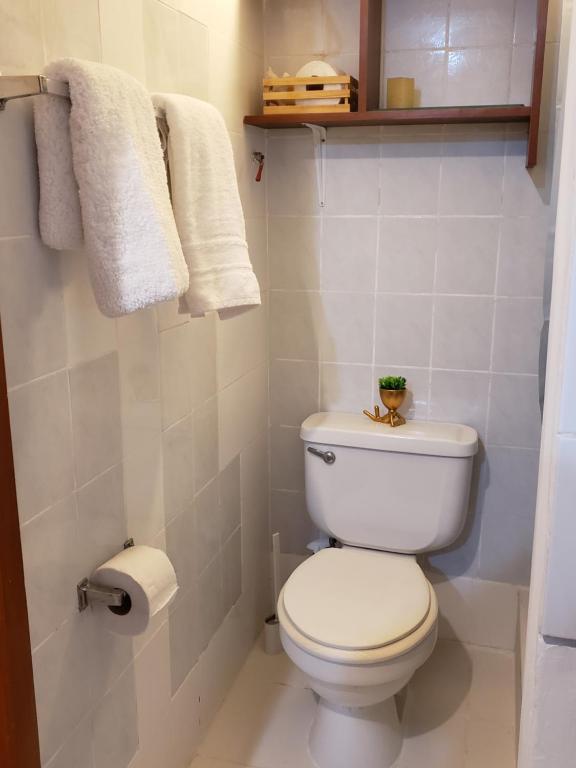 Centric, private, petfriendly apartments in Miraflores and home in Lince - Standard Studio
