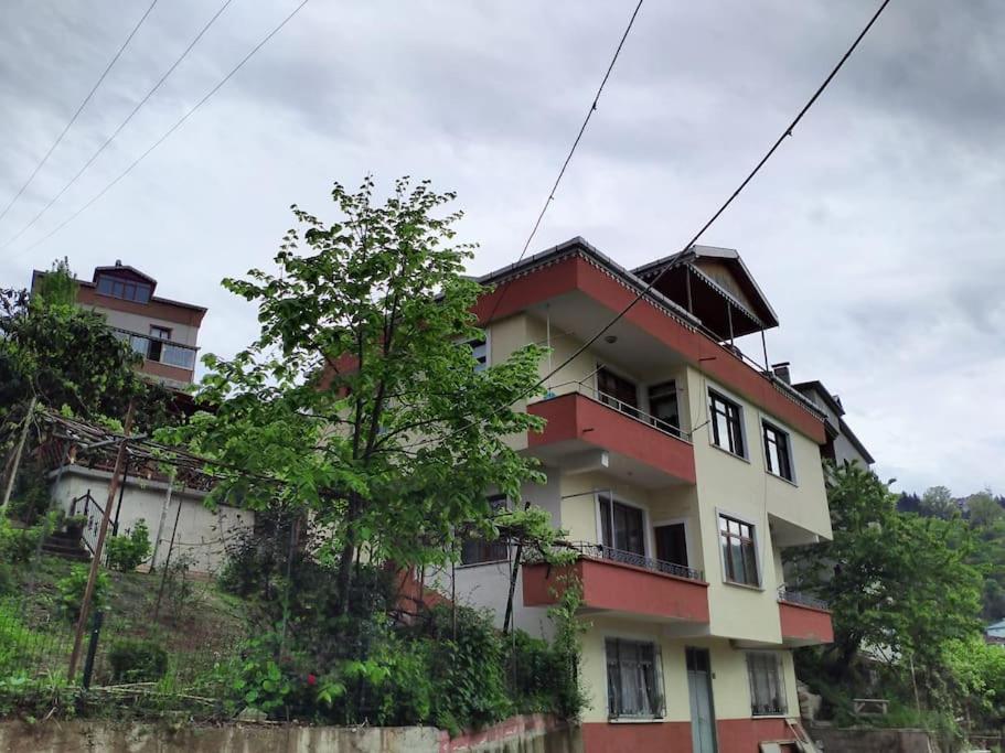 Village house close to Trabzon city center