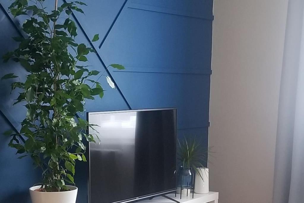a tv sitting on a table with two potted plants at Villa Aubépine in La Bourboule