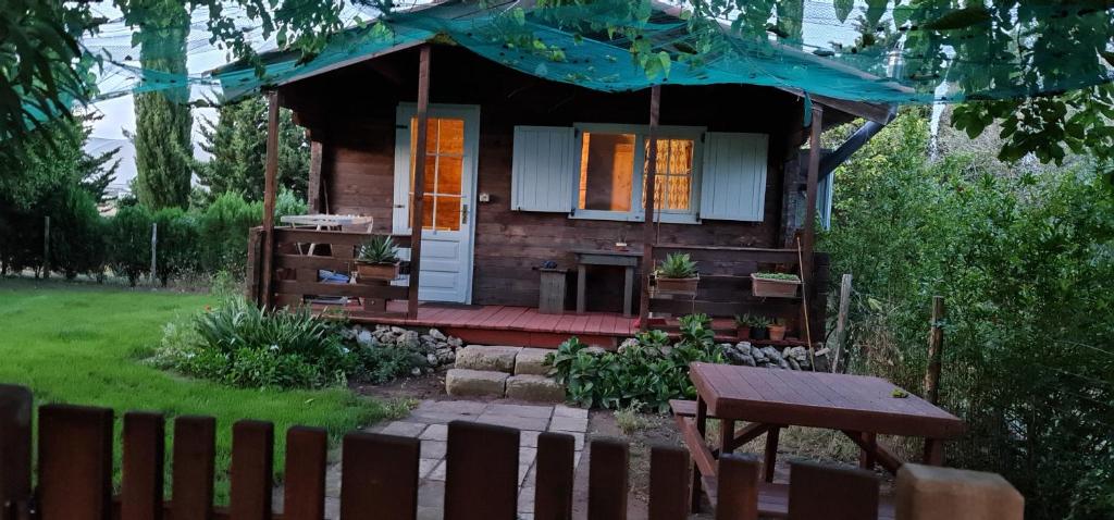 A garden outside Campeggio Bungalow Darwin