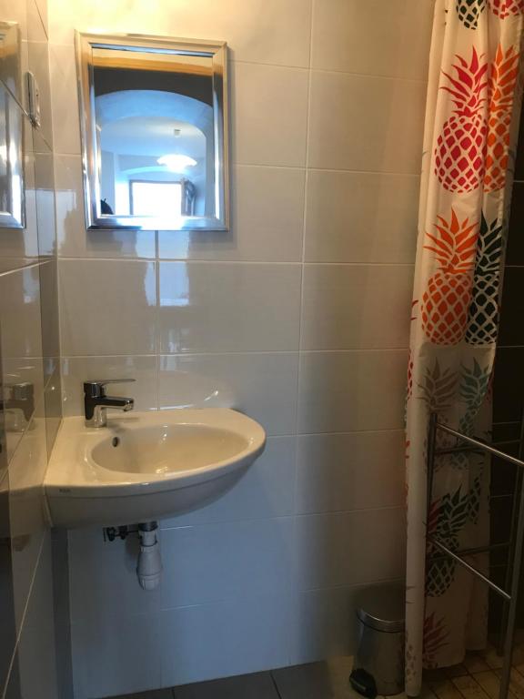 a bathroom with a sink and a mirror at Gîte d'étape d'Aurouses in Die